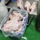 도계유통 네이버블로그