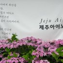 미로항공여행사 이미지