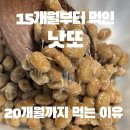 11260-3-54-15 | 15개월부터 20개월까지 꾸준히 먹인 아기 낫또｜3골드낫도 내돈내산 후기