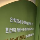 애견풀하우스 이미지