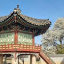 화계