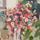 넘버원정형외과의원 이미지