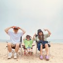 스피드 관광(이가리닻전망대,죽도시장대게,해상공원캐릭터파크,화진해수욕장,스페이스워크,일본인가옥거리)