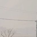 울진봄날애햇살 이미지