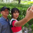 피아비큐 이미지