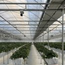 다인농장 이미지