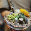 원예 테라리움 이미지