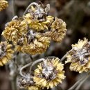 논현1동 주민센터 이미지