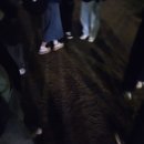 클리프어학원