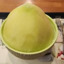 [설빙 신메뉴 리뷰] 메론의 달콤함을 담은 &#39;요거통통메론설빙&#39; 솔직 후기 🍈