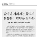 배정순/ 첫동화집 &#39;양금초등학교 연못단&#39; 발간(강원일보 게재) 이미지