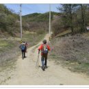 성사초등학교 이미지