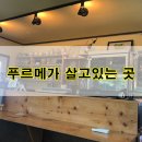 푸르메가살고있는곳 이미지