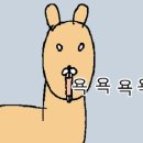 해뜰약국 이미지