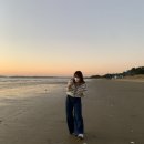 남면농협 청포대간이지소 | 태안1박2일 가을우정여행_뚜벅이,4인숙소추천(가장자리펜션/청포대해수욕장/천수만꽃게장/밀리앤코)