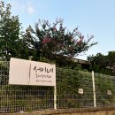 십리포 펜션 민박 | 인천 영흥도 아이들과 가볼만한곳 , 대부도가성비풀빌라[서이네독채펜션],영흥도온수풀펜션