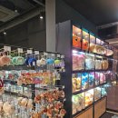 오락메니아 | 신비동물원 가평점 동물 파충류 마니아 아이와가볼만한곳 "어머, 이 동물 뭐야?"