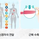 사관리 이미지