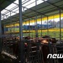 신한영농조합법인 뉴스1
