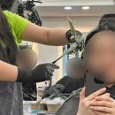 홍대 미용실 새벽 봄맞이 염색솔직 후기
