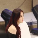 개이쁨 이미지