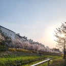 참(charm)행정사 사무소 이미지