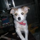 송도지구대 이미지