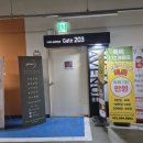 아기눈썹 | 일산브로우펌｜글로라인 일산점 콤보 눈썹문신 후기
