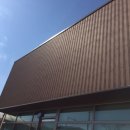 론볼경기장 이미지