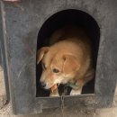 멍구야 놀자 이미지