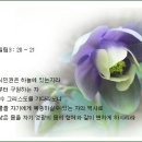 별송의 성경 시화 이미지