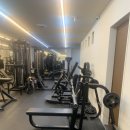 비헬씨 대치점 | 비헬씨 대치점에서 1:1 PT로 스쿼트,런지 다시 배운 후기