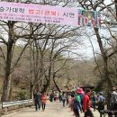 지리산향기 이미지