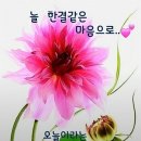 💜매일 당신이 좋은 이유💜 이미지