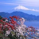 모두건강 이미지