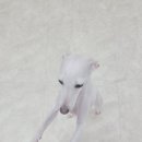 연산유치원 이미지