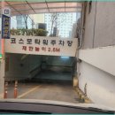 진선다이어트