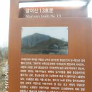 함안군청 본관 | 함안 고려동유적지 말이산고분군 무진정