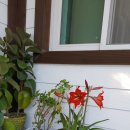 둘레길3코스민박 이미지