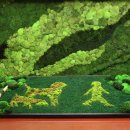 남한강초등학교 병설유치원 이미지