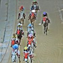 썬스타 파크골프 동호회 9월 월례회 이미지