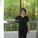 파비스애니원