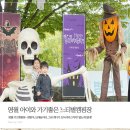 영월계곡 느티별캠핑장 이미지