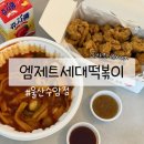 울산 남구 야음동 분식맛집 엠제트세대떡볶이치킨 울산수암점 포장후기
