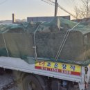 한반도면-5 이미지