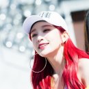 하니비디오 이미지