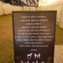 갤러리네이쳐 이미지