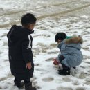 혜화병설유치원 이미지