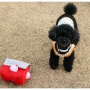 꿀꿀이PC 이미지