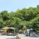 그린팜스테이 이미지